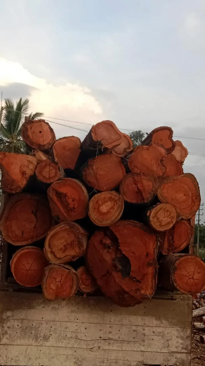 Timber Supply